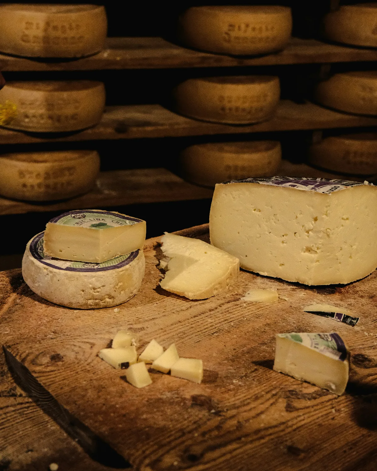 Cheese wheels ageing on wooden shelves