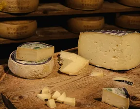 Cheese and Dairy